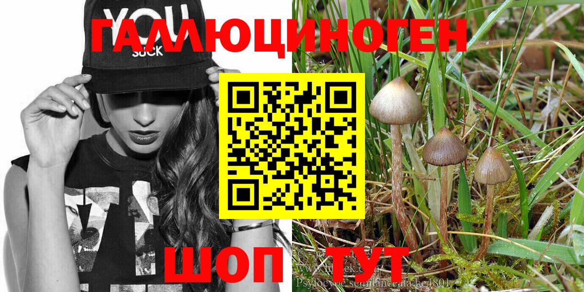 Псилоцибиновые грибы GOLDEN TEACHER  Псилоцибиновые грибы Psilocybe  Великий Устюг  Вход с VPN 