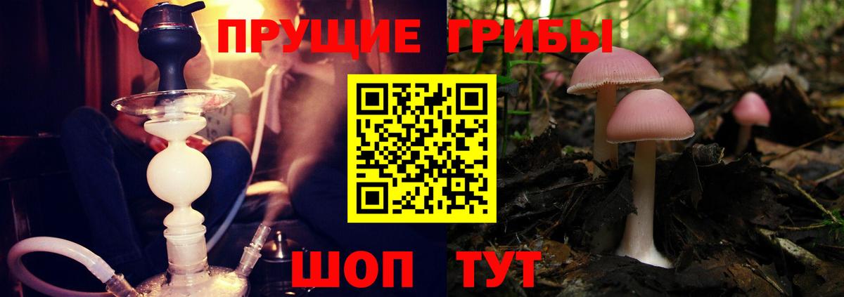 Галлюциногенные грибы ЛСД Великий Устюг